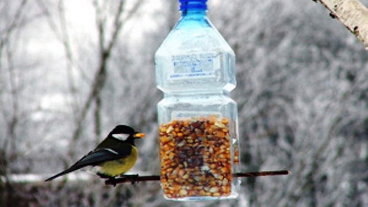 Džemat Srednje: Aktivisti Mreže mladih brinu o pticama tokom zime