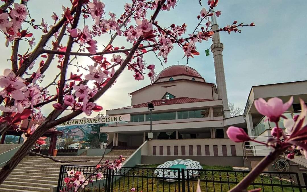 Dr. Omerdić u Bosanskoj džamiji: Domovina poziva samo u dobro